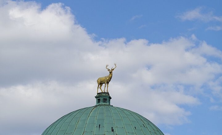 Goldene Hirschskulptur auf der grünen Kuppel des Kunstgebäudes am Schlossplatz in Stuttgart vor blauem Himmel mit Wolken. Symbolisches Motiv der Ausstellung „The Sprayed Dear“ von Katharina Grosse.