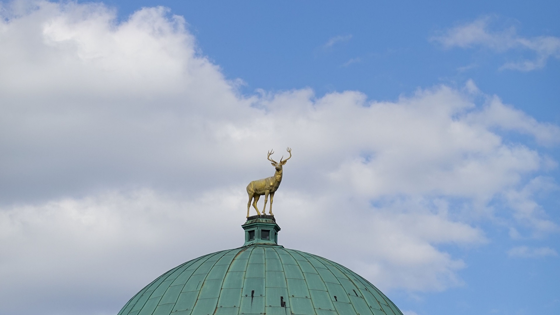 Eindrucksvolles unterm Goldhirsch | Kunstverein auf Ausstellungsbesuch bei Katharina Grosse Goldene Hirschskulptur auf der grünen Kuppel des Kunstgebäudes am Schlossplatz in Stuttgart vor blauem Himmel mit Wolken.