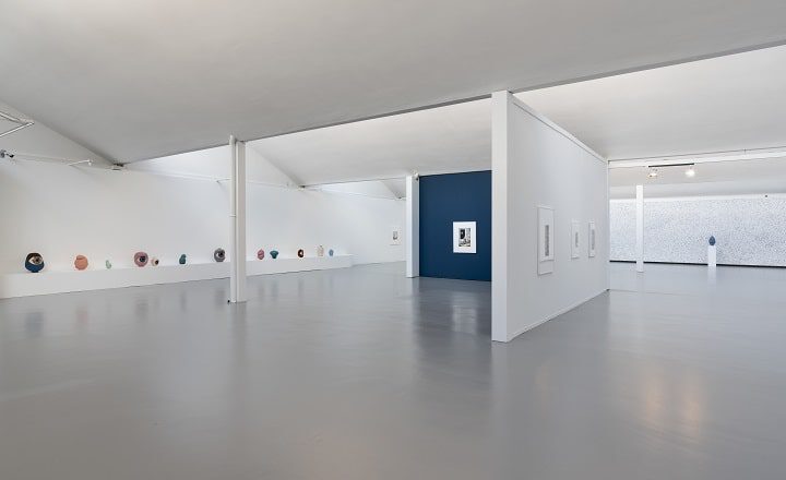 Blick in die Ausstellung „Furry Flowers“ von Anna Lea Hucht in der Kunsthalle Göppingen: heller, offener Ausstellungsraum mit weißen Wänden, einer dunkelblauen Akzentwand, Zeichnungen und Aquarellen an den Wänden sowie keramischen Objekten entlang des Raums.