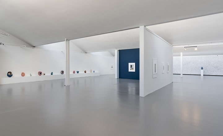 Blick in die Ausstellung „Furry Flowers“ von Anna Lea Hucht in der Kunsthalle Göppingen: heller, offener Ausstellungsraum mit weißen Wänden, einer dunkelblauen Akzentwand, Zeichnungen und Aquarellen an den Wänden sowie keramischen Objekten entlang des Raums.